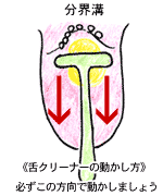舌クリーナーの方向