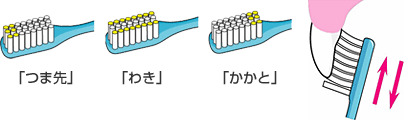 前歯の裏側の磨き方