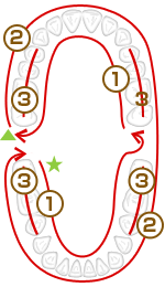 磨く順序の図